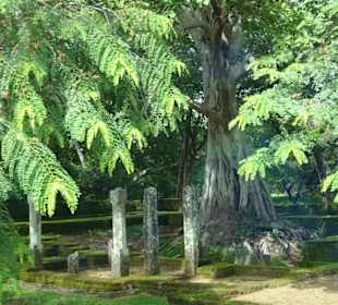 Polonnaruwa