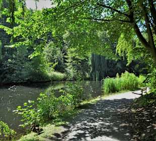 Impressionen aus dem Schlossgarten