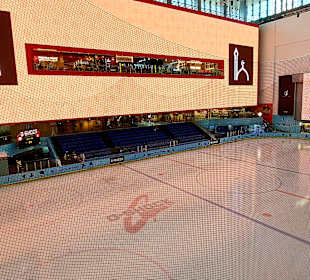 Dubai Ice Rink