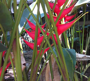 Geführte Touren Mogli's Nature Tours