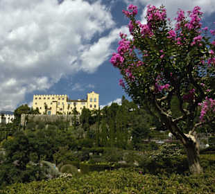 Noch ein Bild von hinten