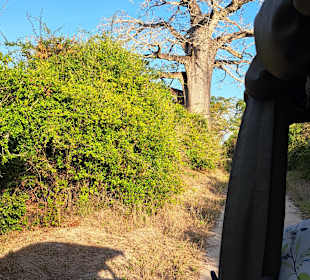 Sadaani Nationalpark