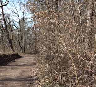 Hirschauer Spitzbergwegle (Premiumspazierwanderweg