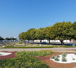 Toller Blick vom Doppeldecker aus