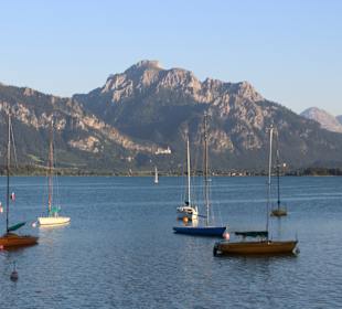 Forggensee