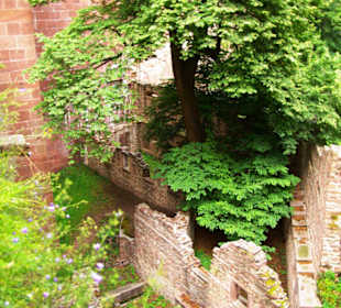 Das Schloss hinterer Bereich