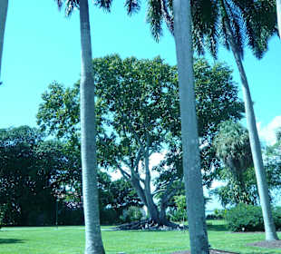 Blick von der Gartenbank