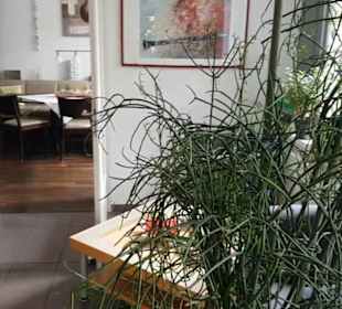 Restaurant Eninger Hof