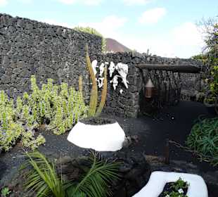 Fundacion Cesar Manrique