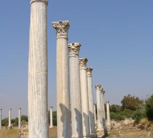 Salamis