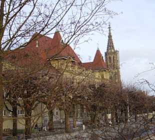 Spaziergang durch Bern