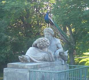 Paw we właściwym miejscu, we właściwym czasie