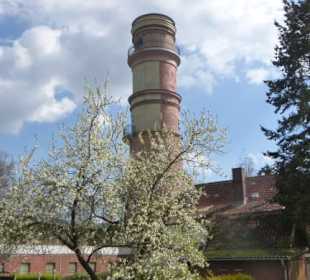 Leuchtturm Travemünde