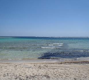 Nur 100 m zur intakten Unterwasserwelt