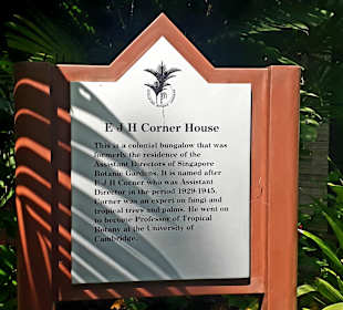 Botanischer Garten
