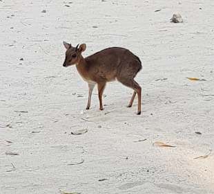 Tourguides  Nabil & Klaus Mohamed