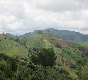 To Palaung Villages 2