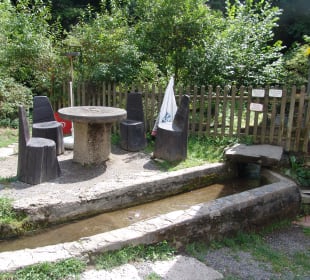 Traumschleife Ehrbachklamm Mai 2022 - Daubisberger