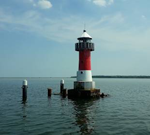Apollo Tagestour zur Greifswalder Oie 