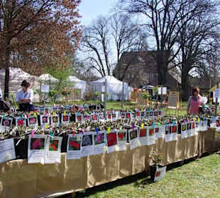 Im Schloß Ausstellung Gartenlust