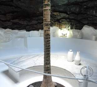 Fundacion Cesar Manrique