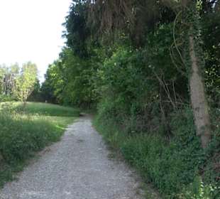 Kreuzweg zum Tannenrain