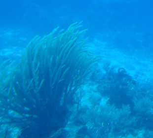 Davon träumt man noch nach Wochen