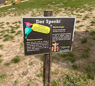 Krewelshof  Kürbisschau 2022 (Wundersame Waldwesen