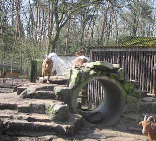Vogelpark Hassloch