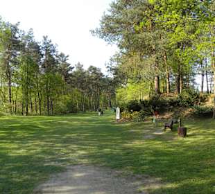 Golfclub Herzogstadt Celle e.V.