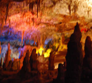 Ein traumhafter Anblick