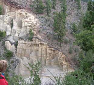 Paisaje Lunar - Wunderwelten im Kiefernwald