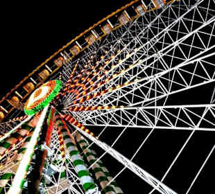 Riesenrad im Blickfeld