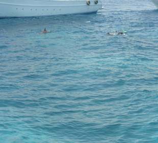 Ausflug zum Dolphinhaus - und ganz viele Delfine