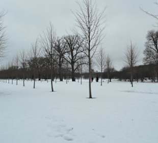 Schloss Drottningholm