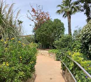 Aussenanlage mit Tulpenbaum