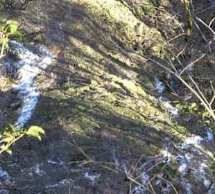 Wandertour Eppenzill