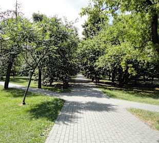 Sady Żoliborskie