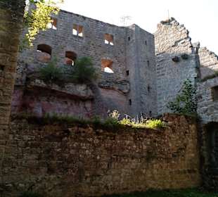 Burg Gräfenstein in Rodalben