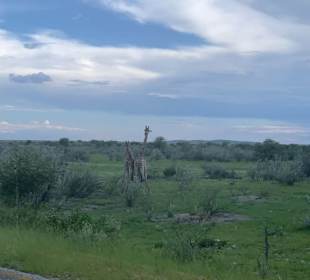 Etosha
