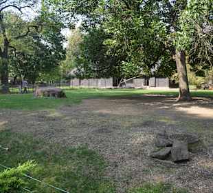 Zoo