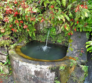 Rundgang durch den Monte Palace Tropical Garden