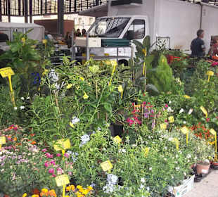 Marché de figueres