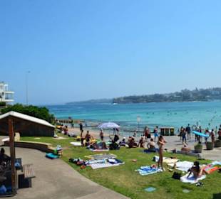 Bondi Beach 
