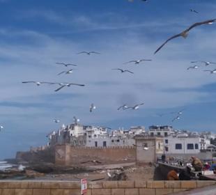 Essaouira