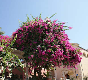 Rethymno - Stare Miasto
