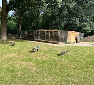 Steinerbos Belevenispark