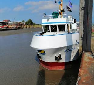 Wega 2 Ausflugsschiff im Hafen