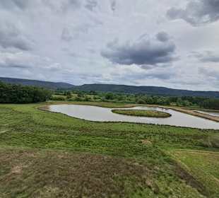 Kranichwoog Hütschenhausen in Hütschenhausen