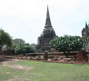 Ayutthaya